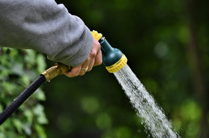 Watering Hacks